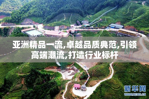 亚洲精品一流,卓越品质典范,引领高端潮流,打造行业标杆