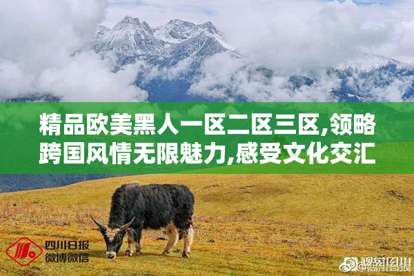 精品欧美黑人一区二区三区,领略跨国风情无限魅力,感受文化交汇的