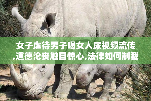 女子虐待男子喝女人尿视频流传,道德沦丧触目惊心,法律如何制裁
