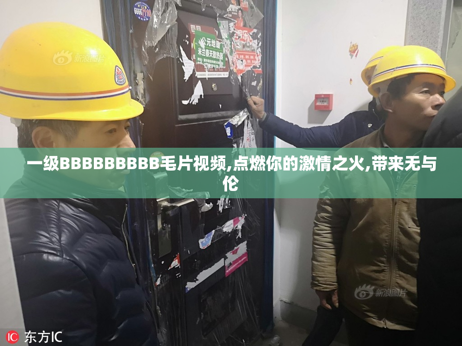 一级BBBBBBBBB毛片视频,点燃你的激情之火,带来无与伦