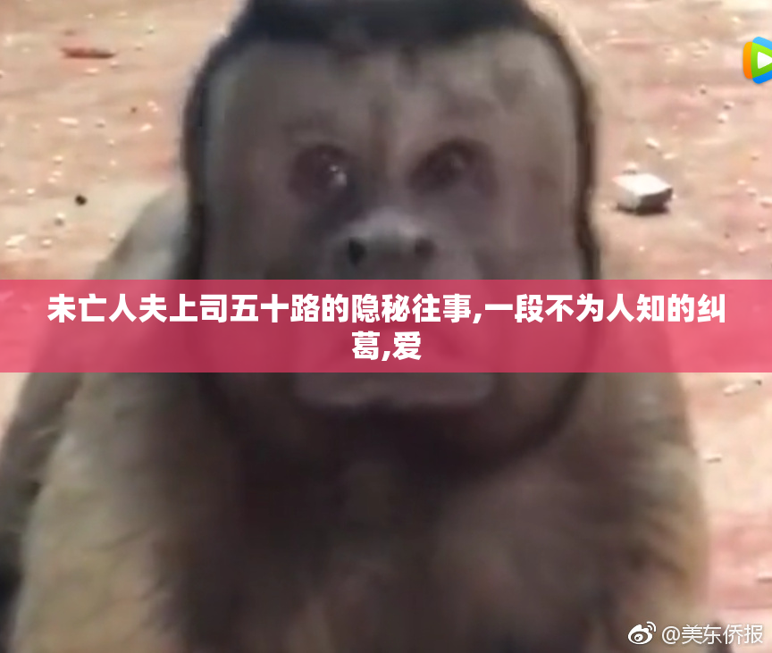未亡人夫上司五十路的隐秘往事,一段不为人知的纠葛,爱
