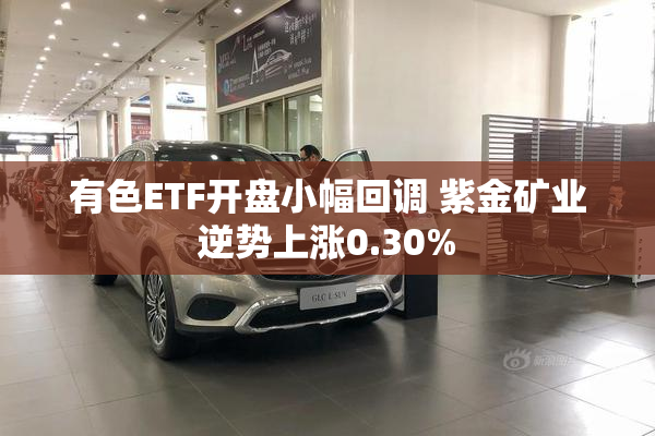有色ETF开盘小幅回调 紫金矿业逆势上涨0.30%