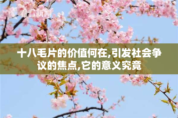 十八毛片的价值何在,引发社会争议的焦点,它的意义究竟