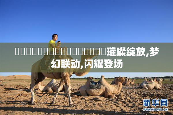 馃悢馃悢馃崋馃崋馃崙馃崙馃崙馃崋璀璨绽放,梦幻联动,闪耀登场