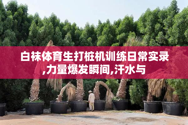 白袜体育生打桩机训练日常实录,力量爆发瞬间,汗水与