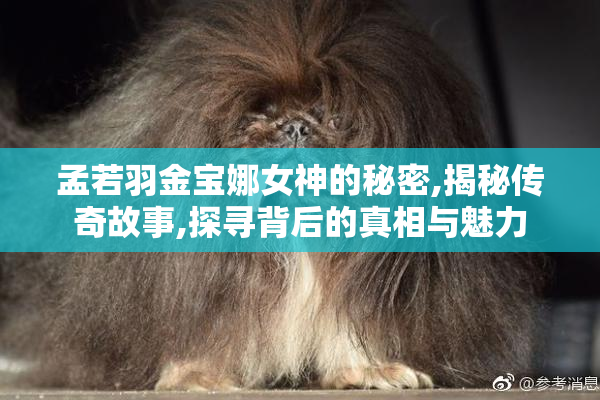 孟若羽金宝娜女神的秘密,揭秘传奇故事,探寻背后的真相与魅力