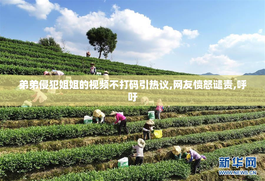 弟弟侵犯姐姐的视频不打码引热议,网友愤怒谴责,呼吁