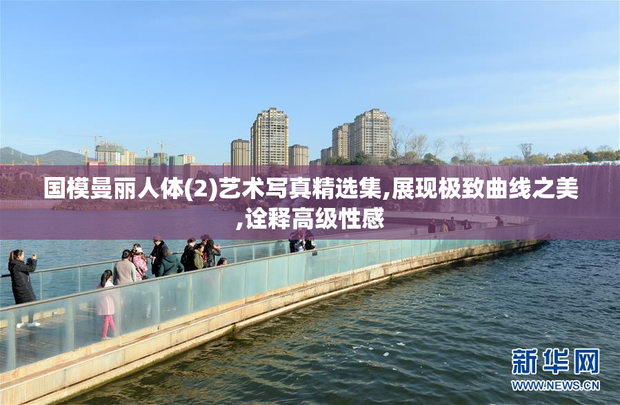 国模曼丽人体(2)艺术写真精选集,展现极致曲线之美,诠释高级性感