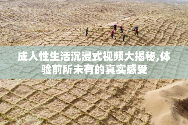 成人性生活沉浸式视频大揭秘,体验前所未有的真实感受