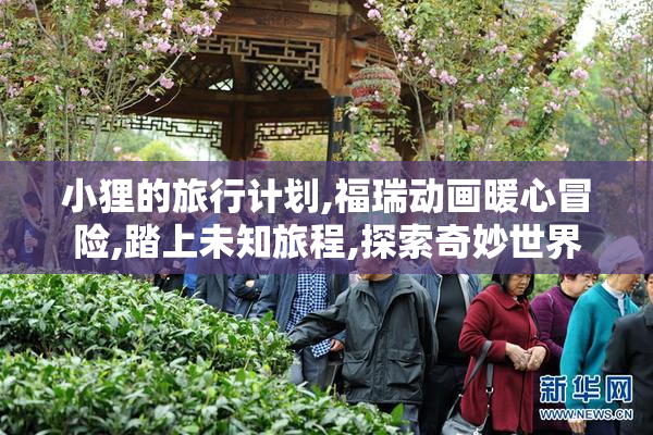 小狸的旅行计划,福瑞动画暖心冒险,踏上未知旅程,探索奇妙世界