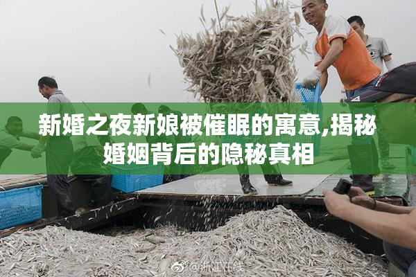 新婚之夜新娘被催眠的寓意,揭秘婚姻背后的隐秘真相