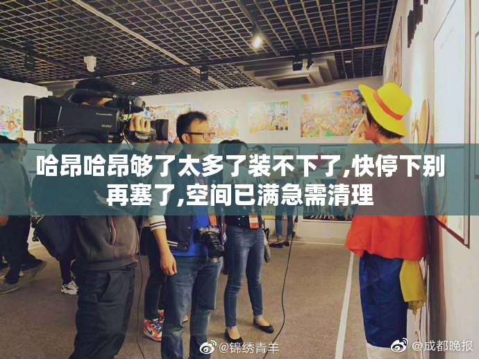 哈昂哈昂够了太多了装不下了,快停下别再塞了,空间已满急需清理