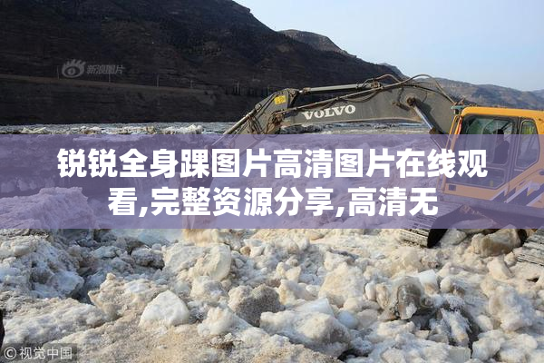 锐锐全身踝图片高清图片在线观看,完整资源分享,高清无