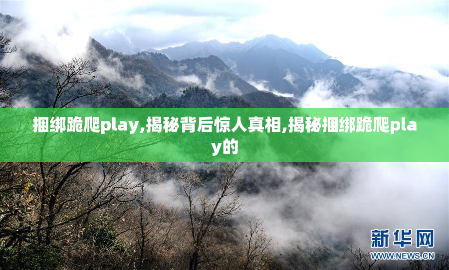 捆绑跪爬play,揭秘背后惊人真相,揭秘捆绑跪爬play的