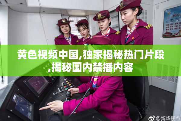 黄色视频中国,独家揭秘热门片段,揭秘国内禁播内容