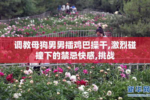 调教母狗男男插鸡巴操干,激烈碰撞下的禁忌快感,挑战