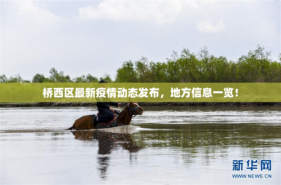 桥西区最新疫情动态发布，地方信息一览！