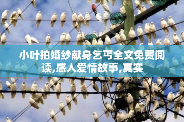 小叶拍婚纱献身乞丐全文免费阅读,感人爱情故事,真实