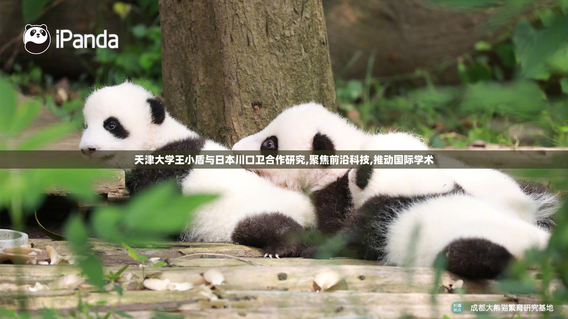 天津大学王小盾与日本川口卫合作研究,聚焦前沿科技,推动国际学术