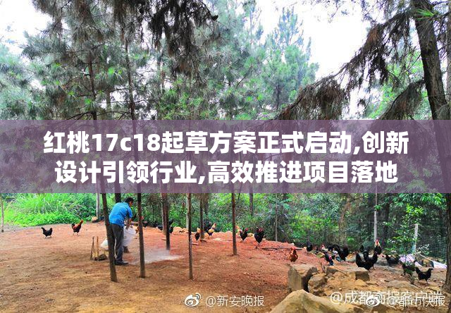 红桃17c18起草方案正式启动,创新设计引领行业,高效推进项目落地