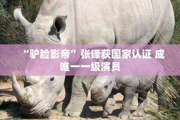 “驴脸影帝”张译获国家认证 成唯一一级演员
