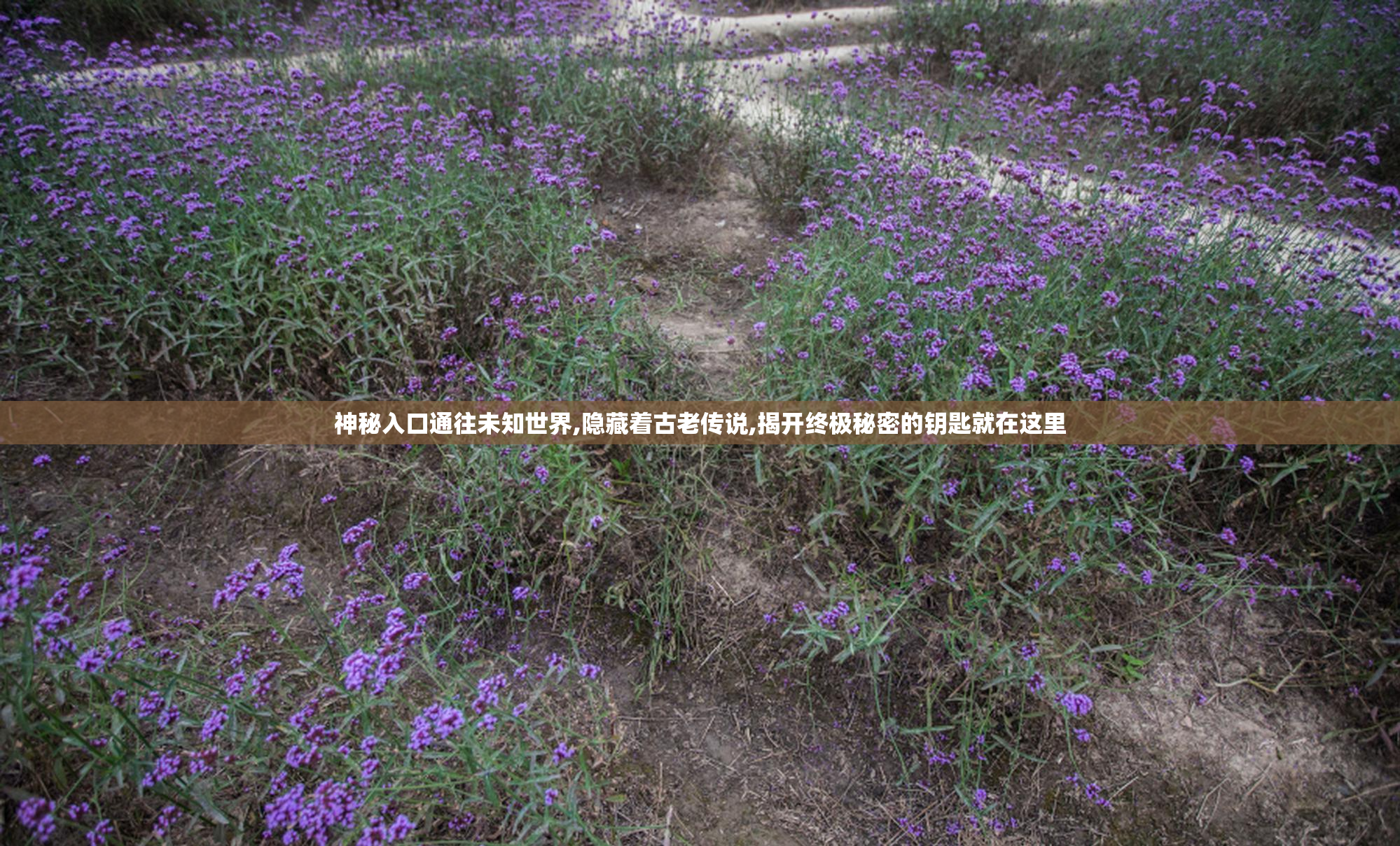 神秘入口通往未知世界,隐藏着古老传说,揭开终极秘密的钥匙就在这里
