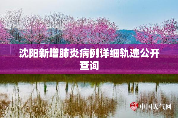 沈阳新增肺炎病例详细轨迹公开查询