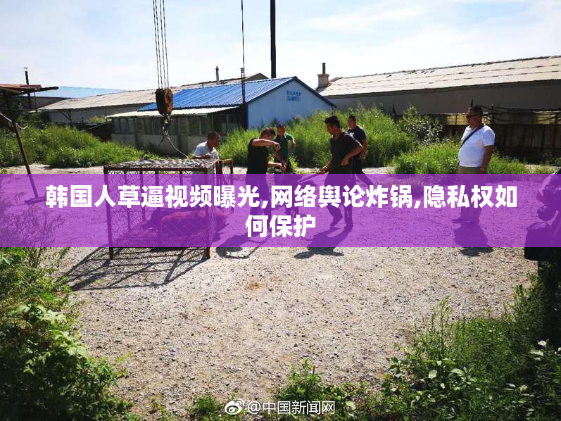 韩国人草逼视频曝光,网络舆论炸锅,隐私权如何保护