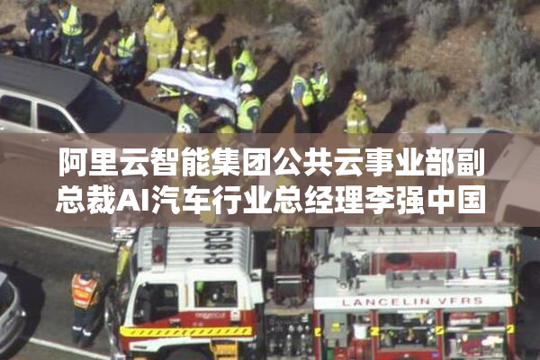 阿里云智能集团公共云事业部副总裁AI汽车行业总经理李强中国电动