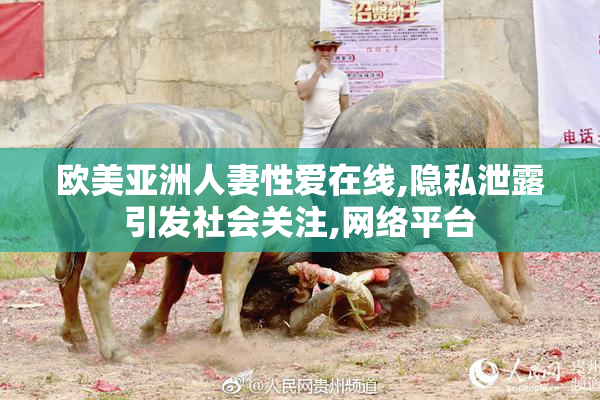 欧美亚洲人妻性爱在线,隐私泄露引发社会关注,网络平台