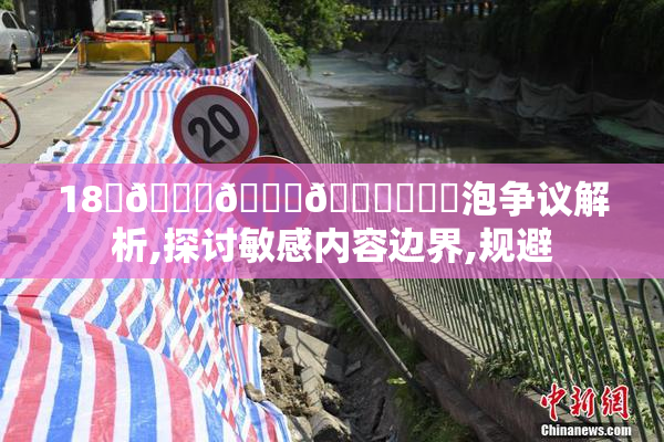 18動🍆🍑🔞❌❌❌泡争议解析,探讨敏感内容边界,规避