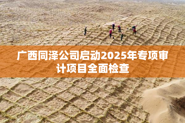 广西同泽公司启动2025年专项审计项目全面检查