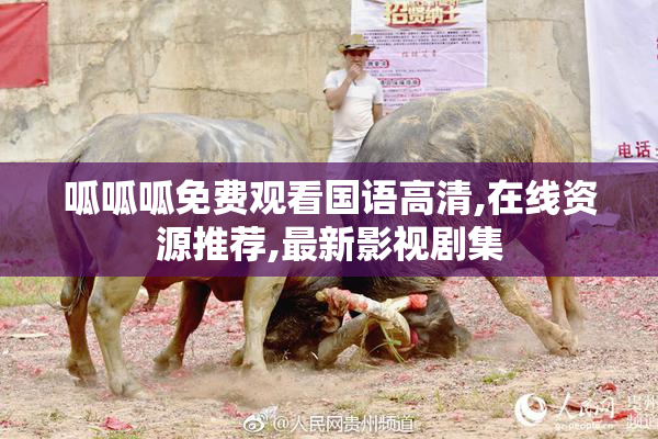 呱呱呱免费观看国语高清,在线资源推荐,最新影视剧集