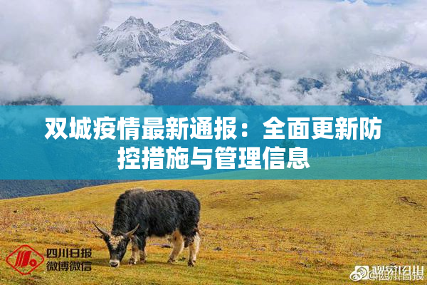 双城疫情最新通报：全面更新防控措施与管理信息