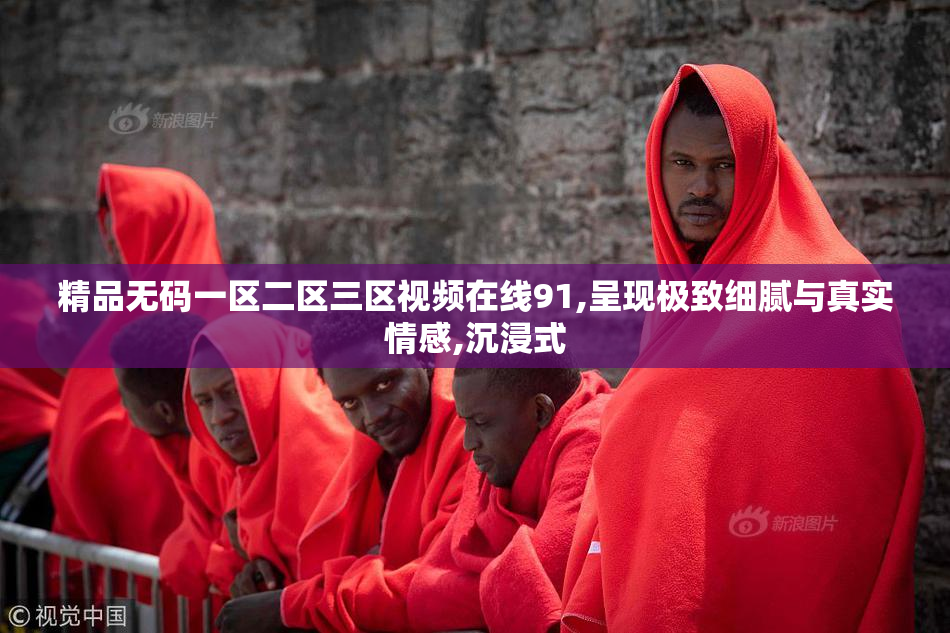 精品无码一区二区三区视频在线91,呈现极致细腻与真实情感,沉浸式
