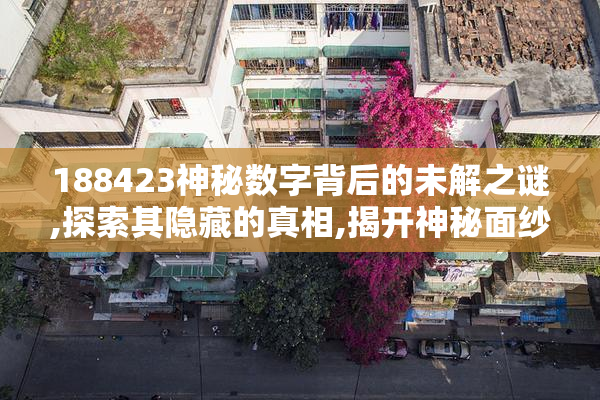 188423神秘数字背后的未解之谜,探索其隐藏的真相,揭开神秘面纱