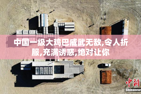 中国一级大鸡巴威武无敌,令人折服,充满诱惑,绝对让你