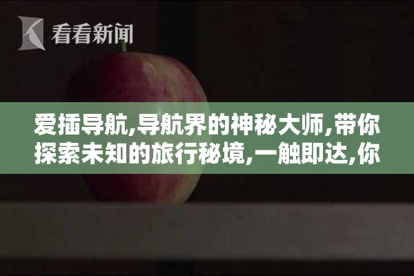 爱插导航,导航界的神秘大师,带你探索未知的旅行秘境,一触即达,你