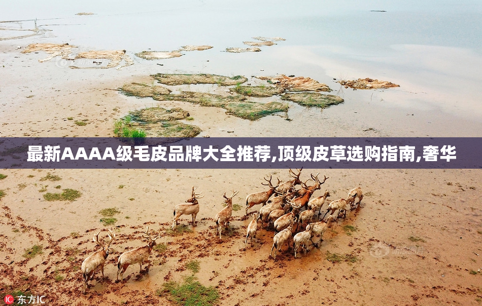 最新AAAA级毛皮品牌大全推荐,顶级皮草选购指南,奢华