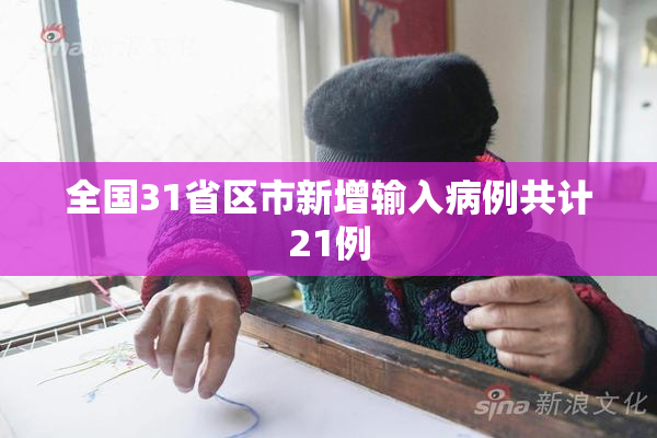 全国31省区市新增输入病例共计21例