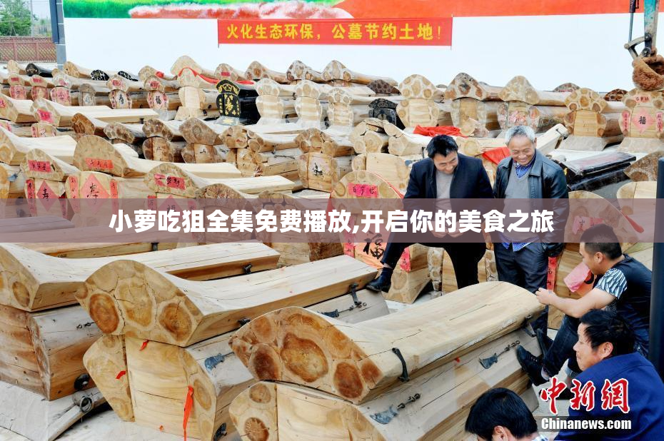 小萝吃狙全集免费播放,开启你的美食之旅