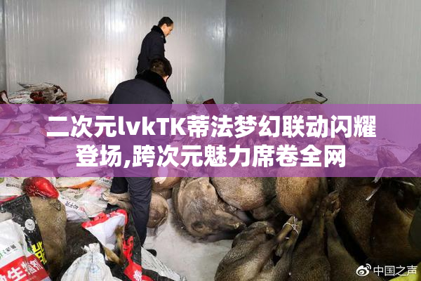 二次元lvkTK蒂法梦幻联动闪耀登场,跨次元魅力席卷全网