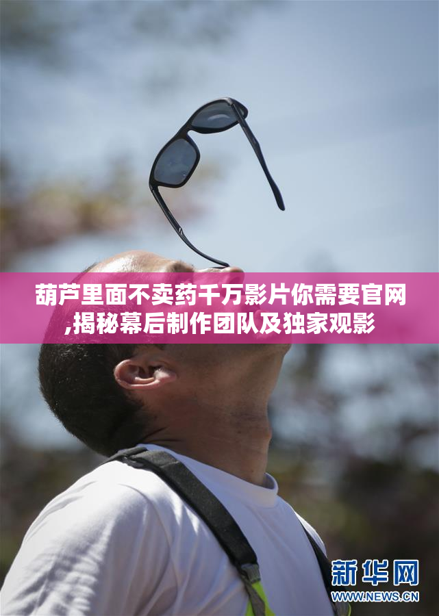 葫芦里面不卖药千万影片你需要官网,揭秘幕后制作团队及独家观影