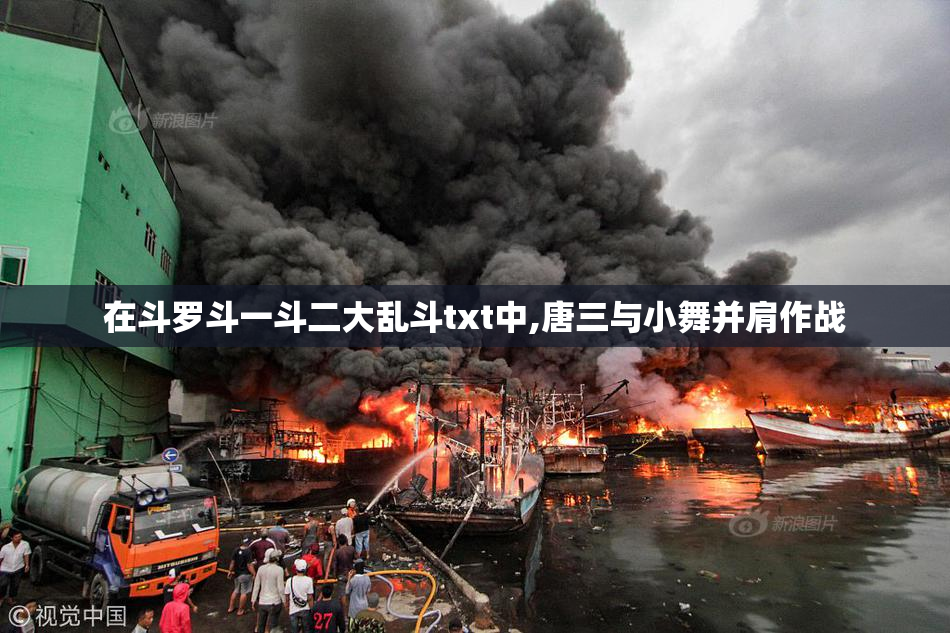 在斗罗斗一斗二大乱斗txt中,唐三与小舞并肩作战