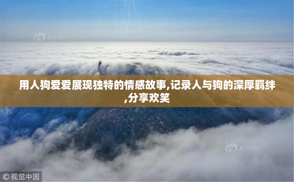 用人狗爱爱展现独特的情感故事,记录人与狗的深厚羁绊,分享欢笑