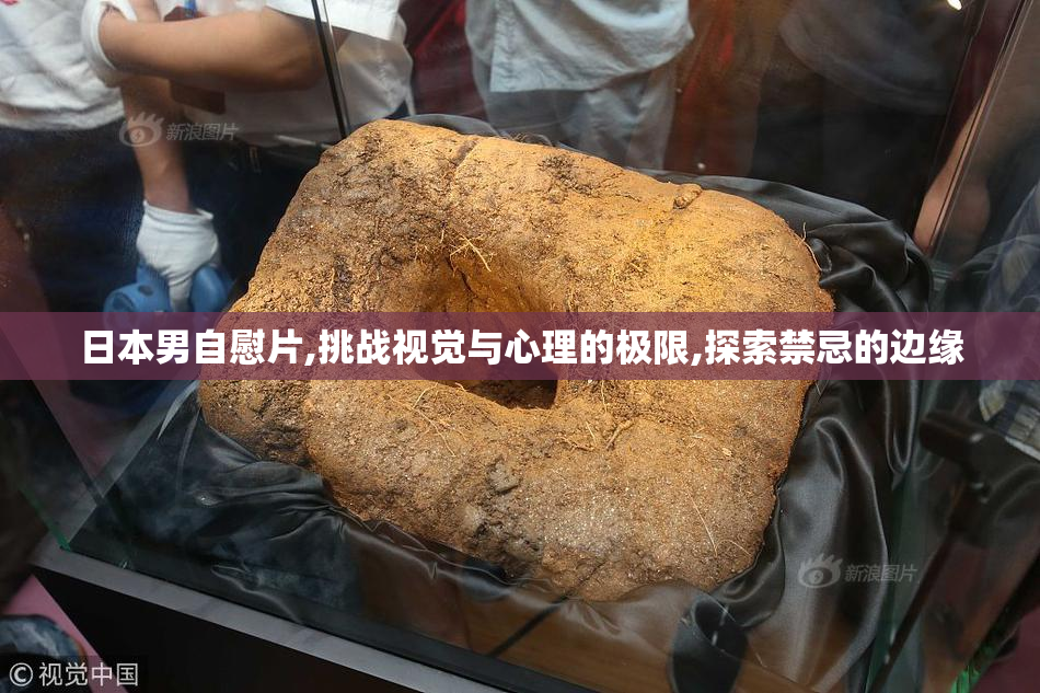 日本男自慰片,挑战视觉与心理的极限,探索禁忌的边缘