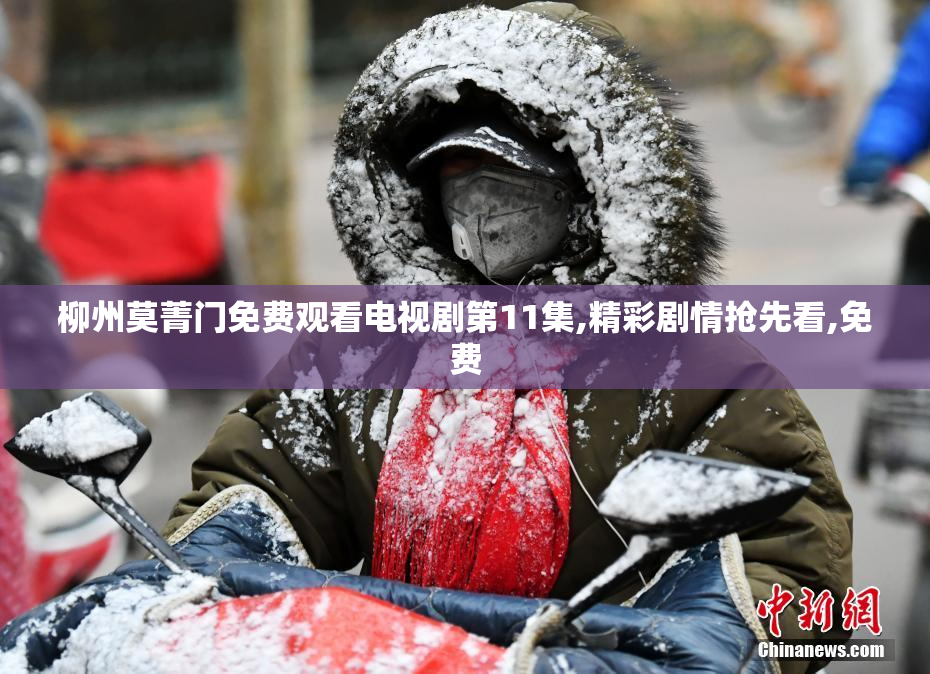 柳州莫菁门免费观看电视剧第11集,精彩剧情抢先看,免费