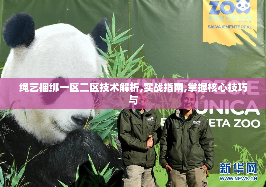 绳艺捆绑一区二区技术解析,实战指南,掌握核心技巧与