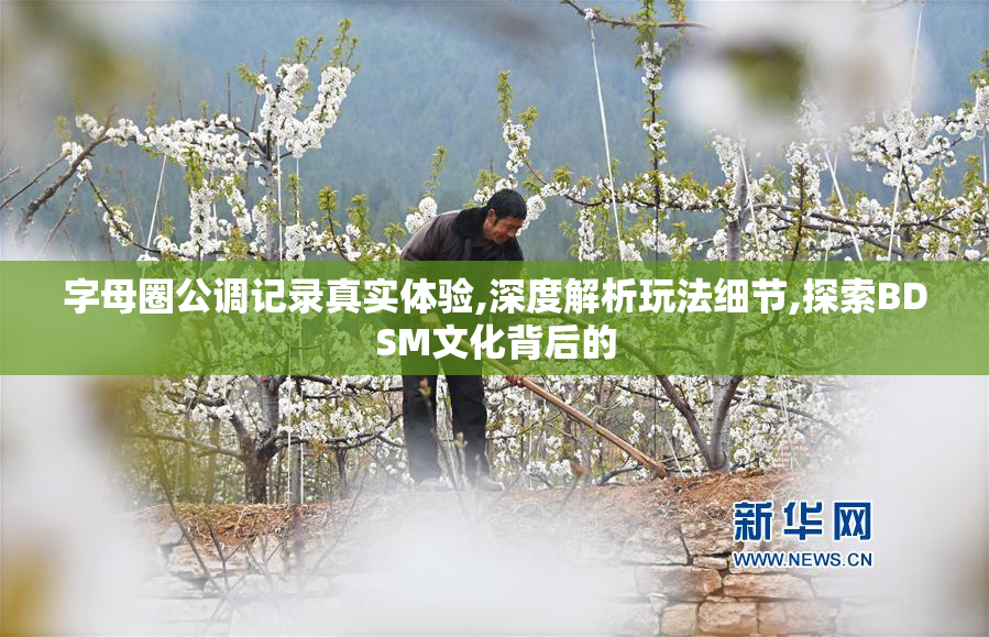 字母圈公调记录真实体验,深度解析玩法细节,探索BDSM文化背后的