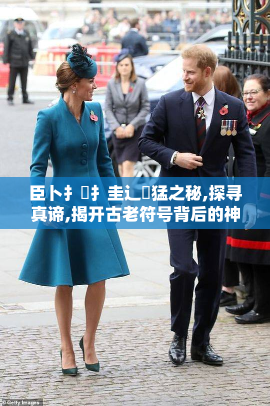 臣卜扌喿扌圭辶畐猛之秘,探寻真谛,揭开古老符号背后的神秘力量与